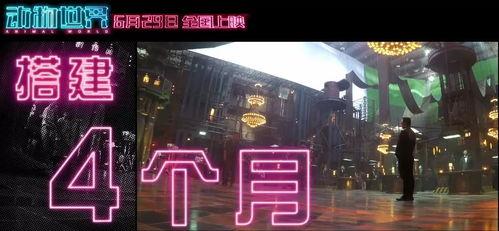 福利视频国产,福利视频展现国产魅力